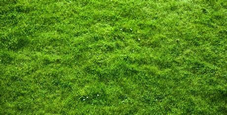 Second Life Marketplace - Realistic Grass Texture