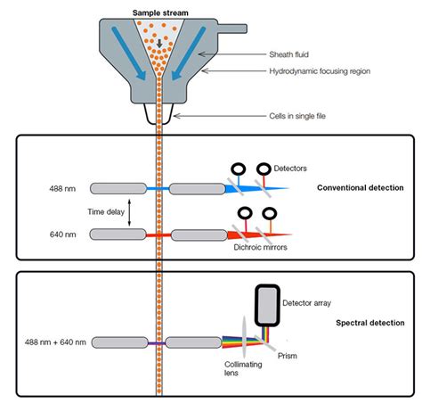 Flow Cytometry Diagram