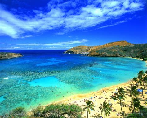 great-beach-hawaii-picture.jpg