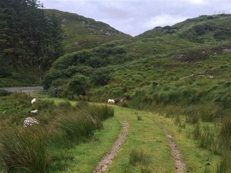 How to Walk The Kerry Way Trail - Alaind Walking Sneem