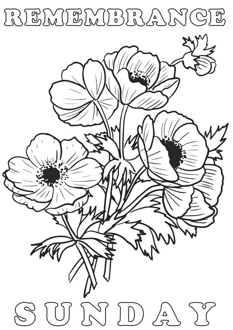 Colouring Poster: Remembrance Sunday Poppies - Rooftop Post Printables