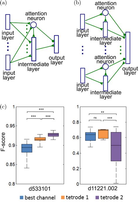 Adaptation of the network for the processing of tetrode data. (a) First ...