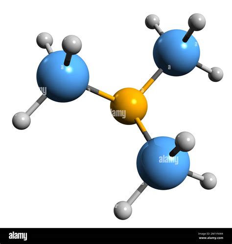 3D image of Trimethylamine skeletal formula - molecular chemical structure of TMA isolated on ...