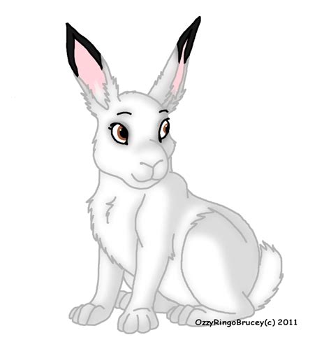 Free Arctic Hare Cliparts, Download Free Arctic Hare Cliparts png ...