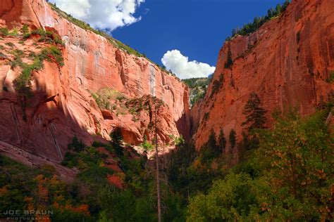 Taylor Creek Trail (Page 2) - Joe's Guide to Zion National Park