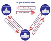 Checks And Balances Chart