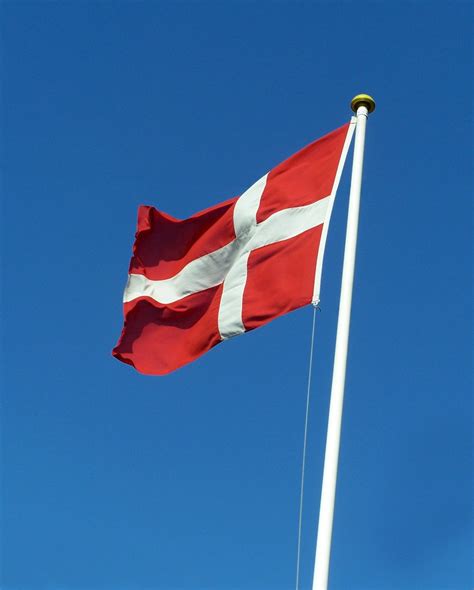 Danish flag Free Photo Download | FreeImages