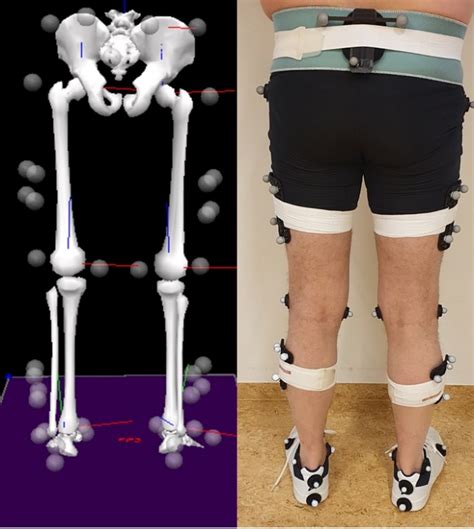 Don’t Peak Too Early: Evidence for an ACL Injury Prevention Mechanism ...