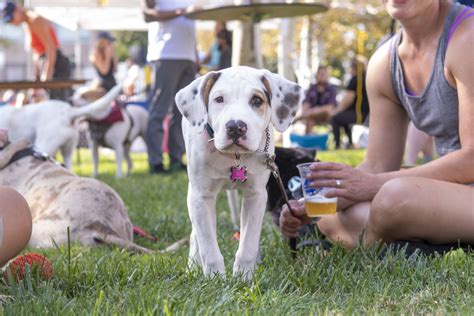 Paws in the Park Releases List of Food, Drink, and Entertainment...