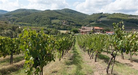 🍷 The 7 Best Chianti Wine Tours From Florence [2024 Reviews] | World ...