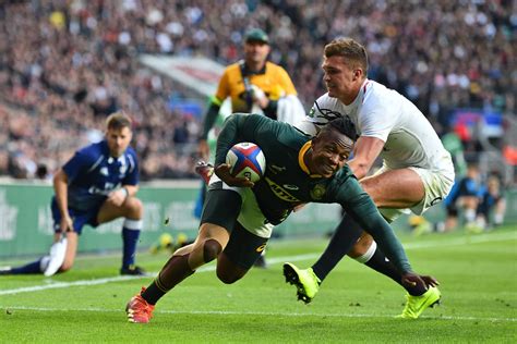 England V South Africa Rugby 2024 Highlights - Pauly Betteann