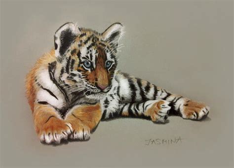 Tiger Cub - Colored Pencils Drawing by JasminaSusak on DeviantArt