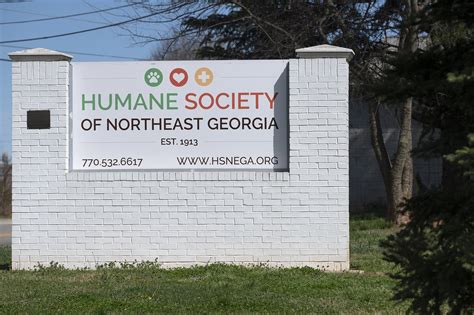 Humane Society shelter reopens after parvo, distemper outbreak - Gainesville Times