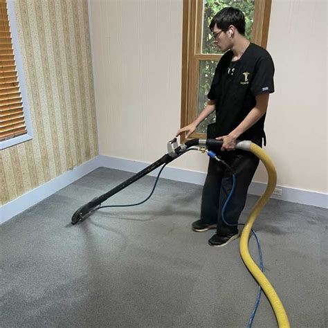 Pet Odor Removal Forest Grove OR – Carpet MD