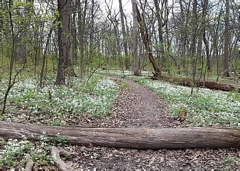 3 Best Hiking Trails in Aurora, IL - Expert Recommendations