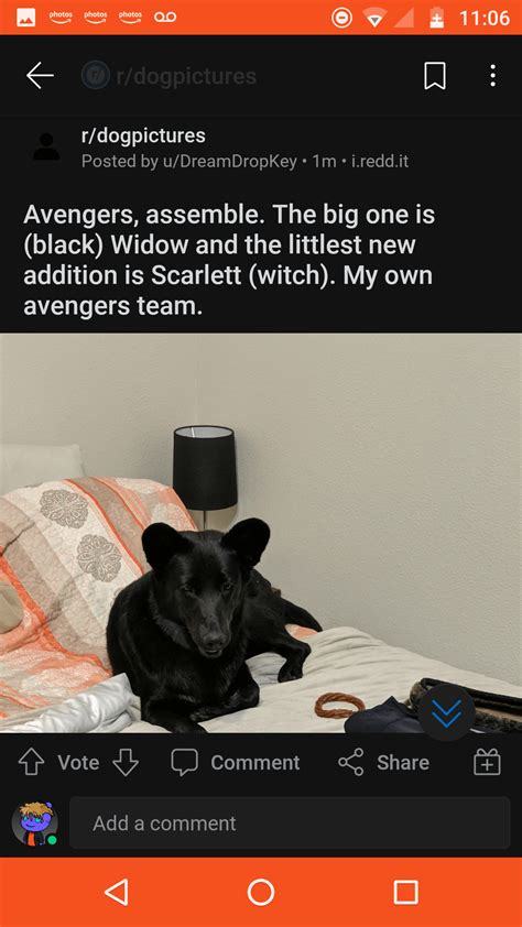 AVENGERS... ASSEMBLE : r/marvelmemes