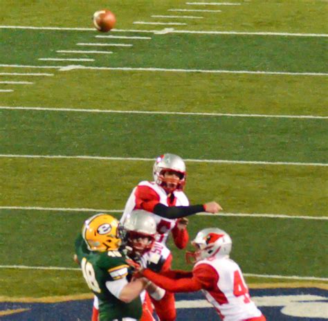 Mentor Cardinals vs. St. Edward Eagles | Ohio High School Fo… | Flickr