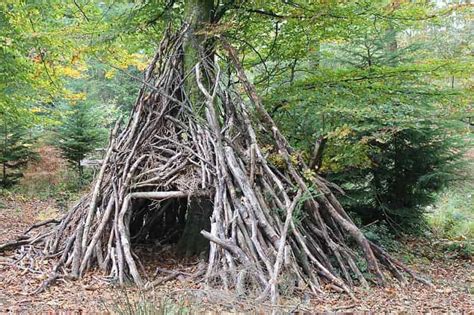 How to Build a Wilderness Survival Shelter with No Supplies