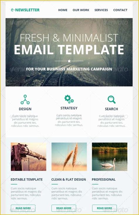 Free Sample Newsletter Templates Of Email Newsletter Templates ...