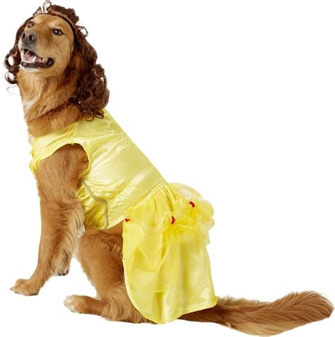 20 Adorable Dog Halloween Costumes | Princess dog costume, Princess dog, Dog halloween costumes