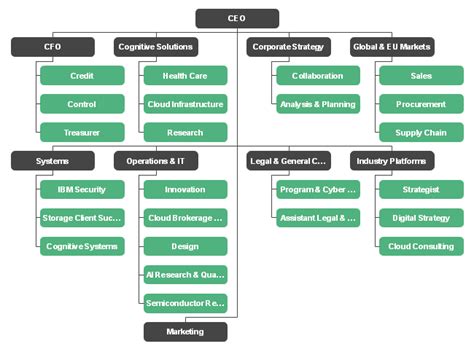 IBM Organizational Chart