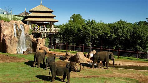 Sanctuary Asia, Oklahoma City Zoo - Duggan Contracting