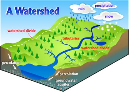 The Drainage Basin - My IGCSE years