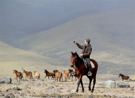 Wild Horses of Cotopaxi National Park