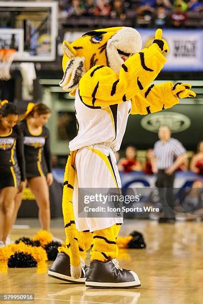 61 Towson Mascot Stock Photos, High-Res Pictures, and Images - Getty Images