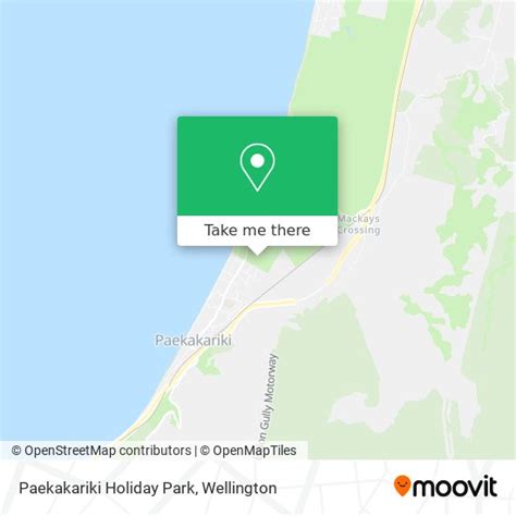 How to get to Paekakariki Holiday Park by train or bus?