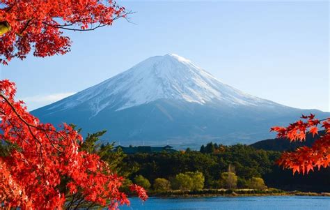 3 ways to enjoy Mt. Fuji during Autumn