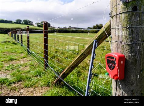 Mastering the Art of Safely Ending an Electric Fence: A Comprehensive ...