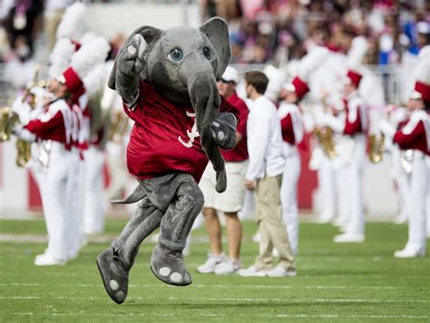 Alabama mascot Big Al before the Tennessee game at Bryant-Denny Stadium in Tuscaloosa, Ala. on ...