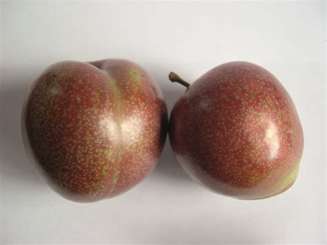 Plums