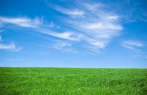 Cloudy Sky and Grass Wallpaper