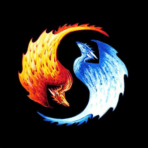 Yin Yang Dragon T-Shirts | Fire and ice dragons, Yin yang art, Ice dragon