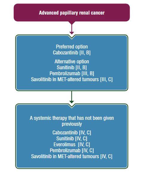 eUpdate – Renal Cell Carcinoma Treatment Recommendations | ESMO