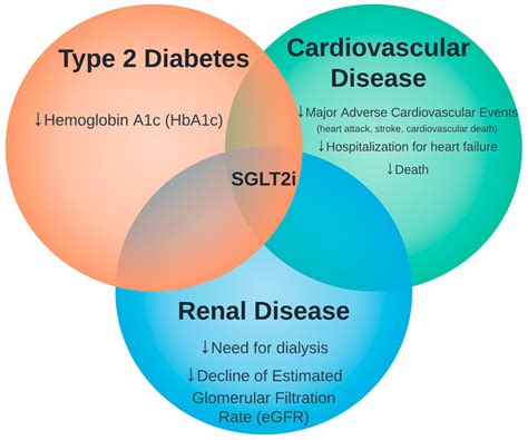 Medicina | Free Full-Text | SGLT2 Inhibitors: The Next Blockbuster Multifaceted Drug?