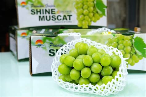 Nho Hàn Quốc Có Đắt Không ? | Hoa Quả Sạch Fuji Fruit | Hệ thống hoa ...