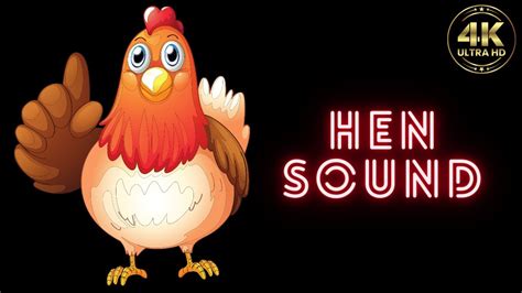 hen sound | hen sound effect | hen sound video | hen sound and video ...