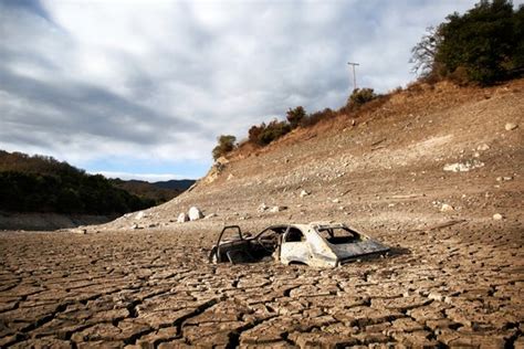 The California Drought and its Effects on the Landscape | OConnell ...