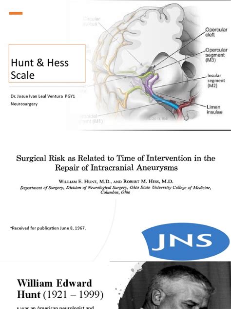 Hunt & Hess Scale | PDF