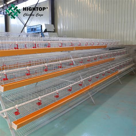 Hot Sale to Philippines Galvanized Wire Mesh Chicken Cage - China Chicken Layer Cage and Chicken ...