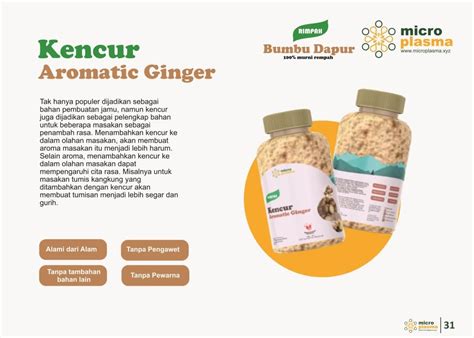 Kencur Powder | Inaexport