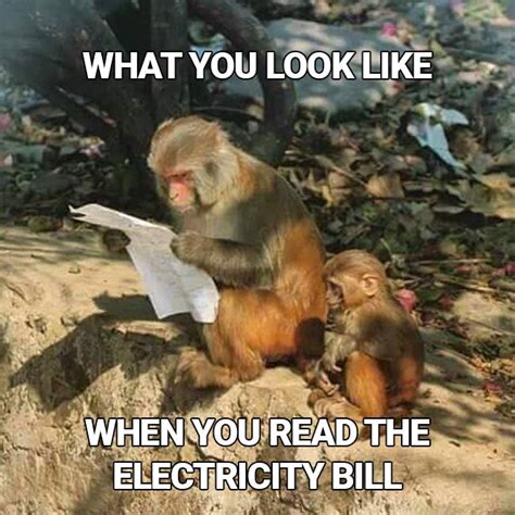 This Pic of a Monkey Reading Begs to be a Meme. Send Us Your Versions