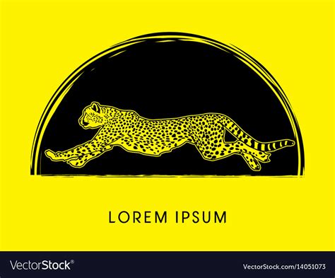 Cheetah running Royalty Free Vector Image - VectorStock