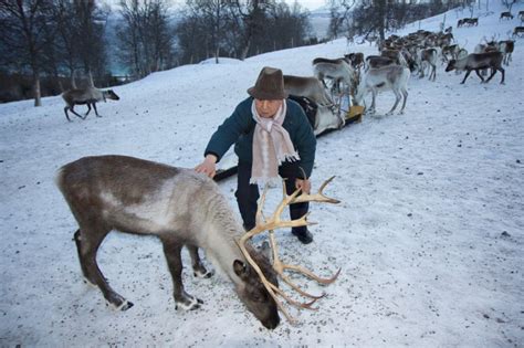 Yak and reindeer herders meet on top of the world