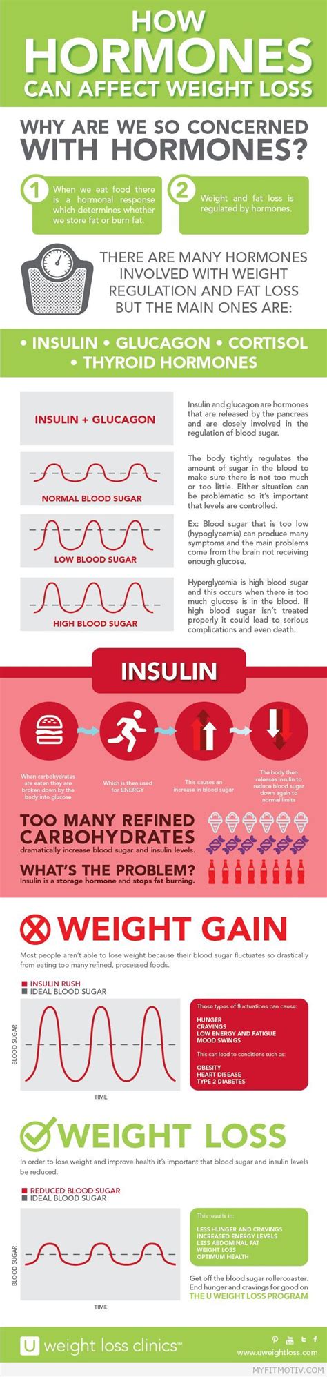 How Hormones Affect Weight Loss - Dr. Sam Robbins