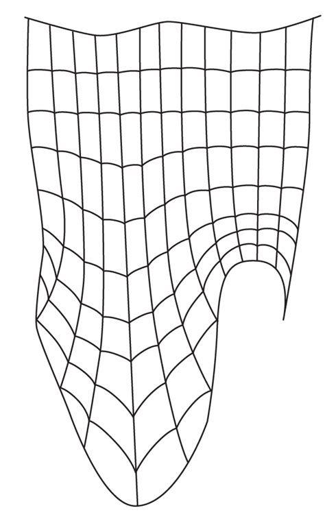 Spiderman Suit Web Pattern