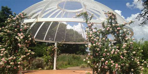 How to spend a long weekend in Dubbo - Holidays with Kids